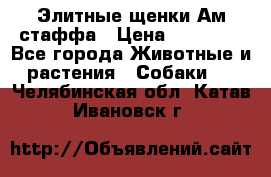 Элитные щенки Ам.стаффа › Цена ­ 25 000 - Все города Животные и растения » Собаки   . Челябинская обл.,Катав-Ивановск г.